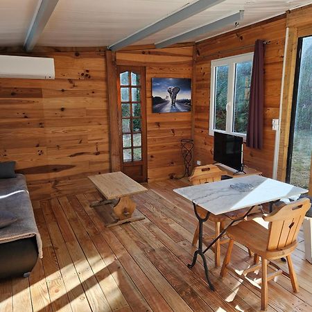 Chalet Banane Devant Piscine, A 6Km Du Festival De Piano De La Roque D'Antheron Rognes ภายนอก รูปภาพ